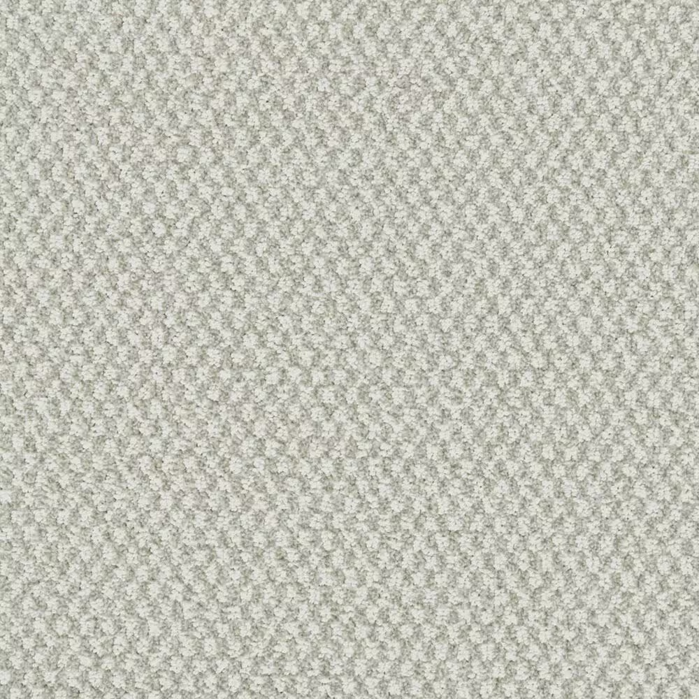 Karastan Striking Pose Carpet in Turtle Dove