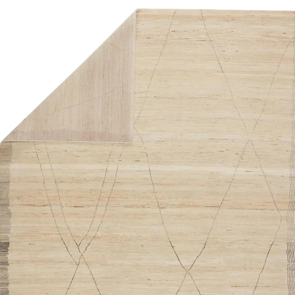 159482-jaipur-manifest-curium-mni02-10-x-14-biscotti-area-rug-1.jpg