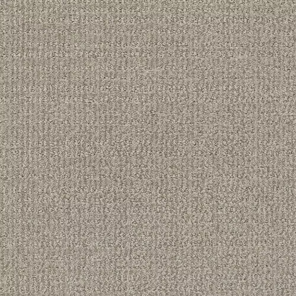 Shaw Sensible Now Carpet in Silhouette