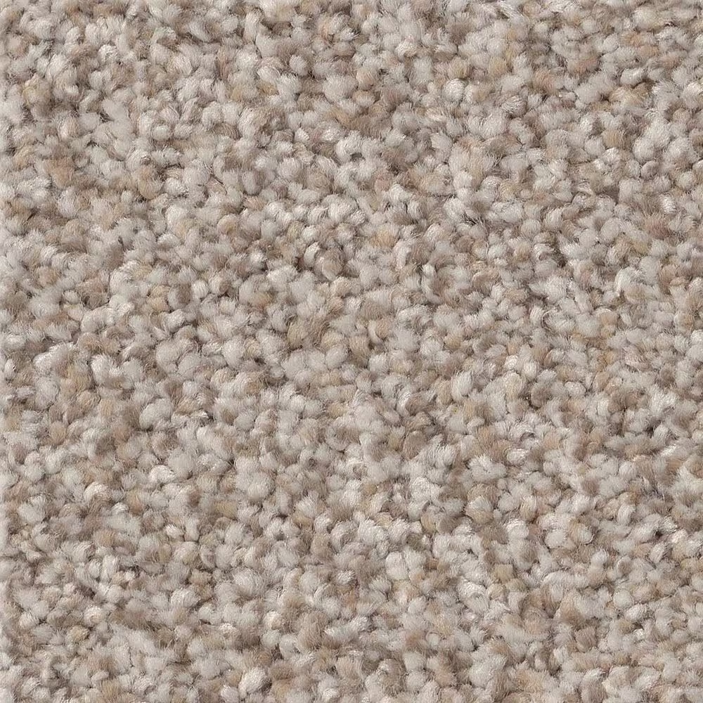 Shaw Truspirit Ii Carpet in Mist