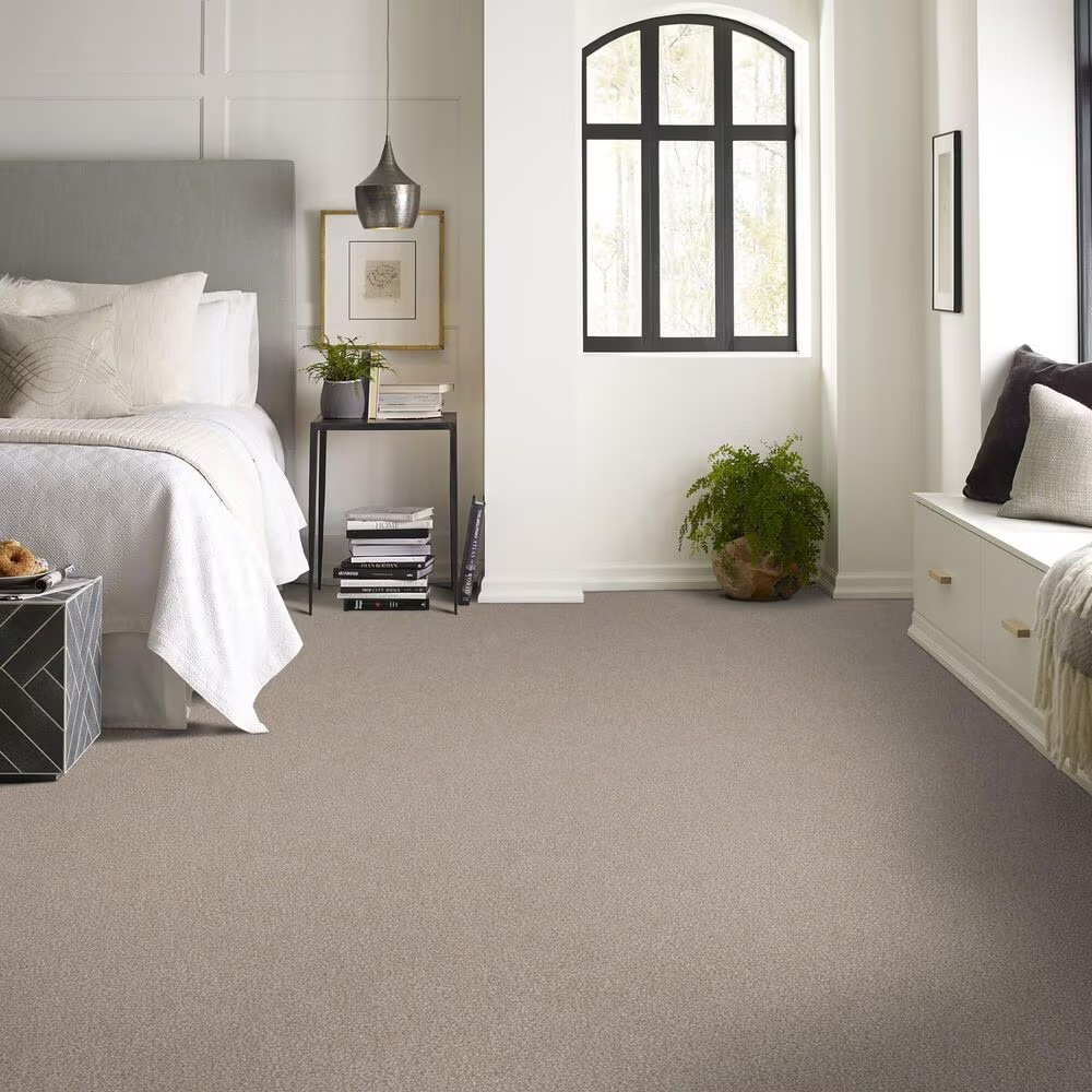 159531-shaw-truspirit-ii-carpet-in-mist-1.jpg