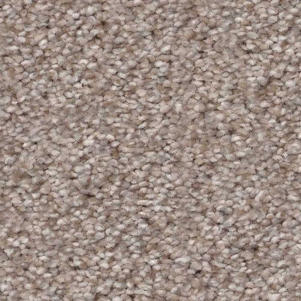 Shaw Truspirit Ii Carpet in Lady Liberty