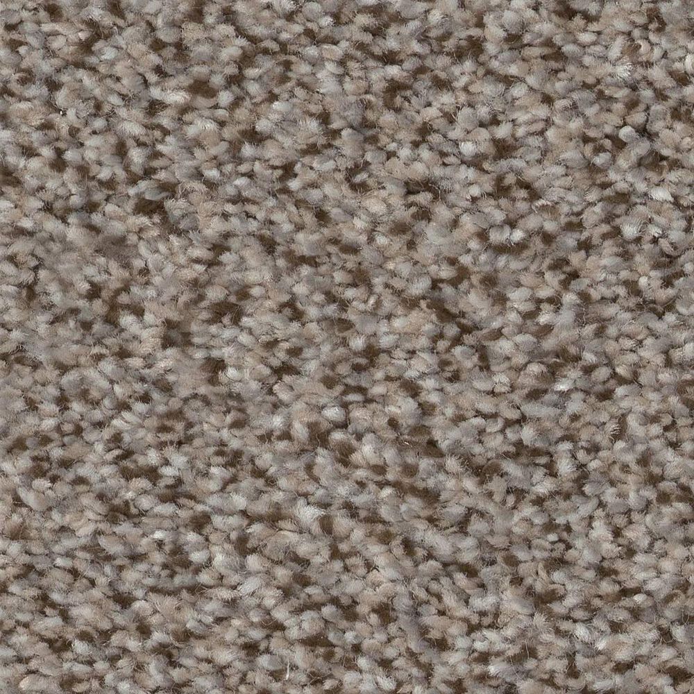 Shaw Truspirit Ii Carpet in Iron Works