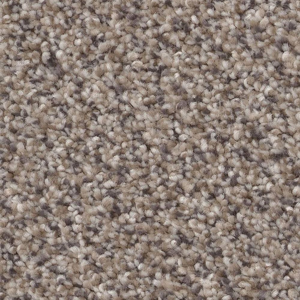 Shaw Truspirit Ii Carpet in Concrete