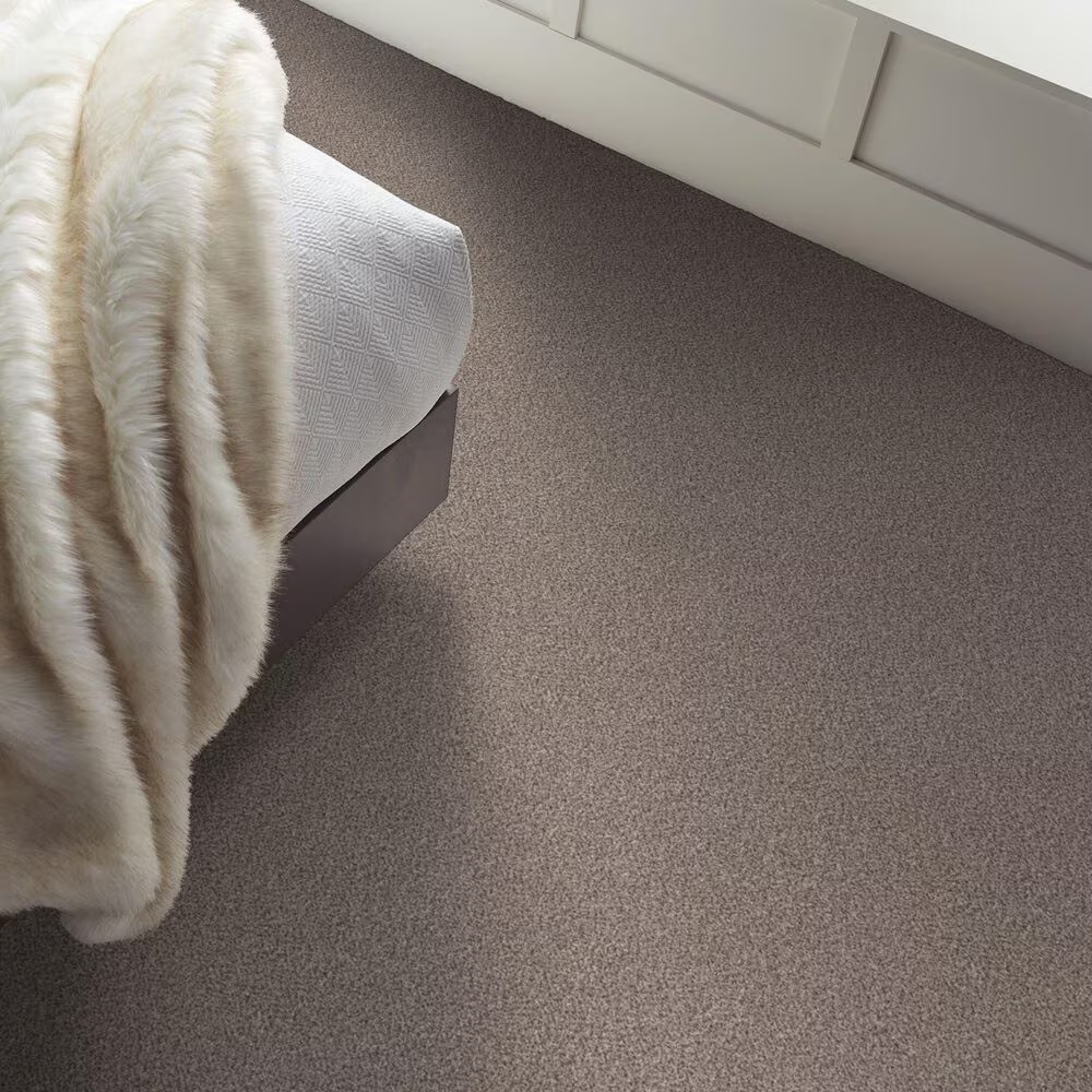 159564-shaw-truspirit-ii-carpet-in-concrete-1.jpg