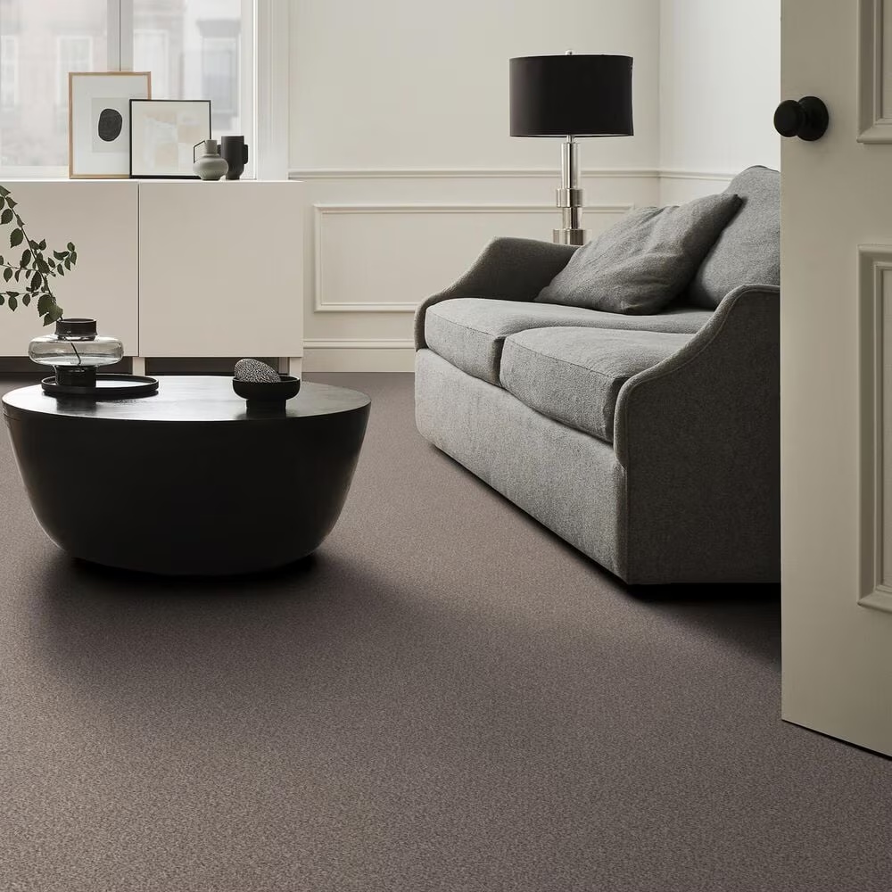 159564-shaw-truspirit-ii-carpet-in-concrete-1.jpg