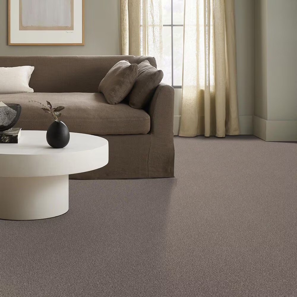 159564-shaw-truspirit-ii-carpet-in-concrete-1.jpg