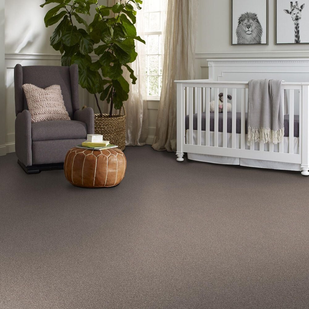 159564-shaw-truspirit-ii-carpet-in-concrete-1.jpg