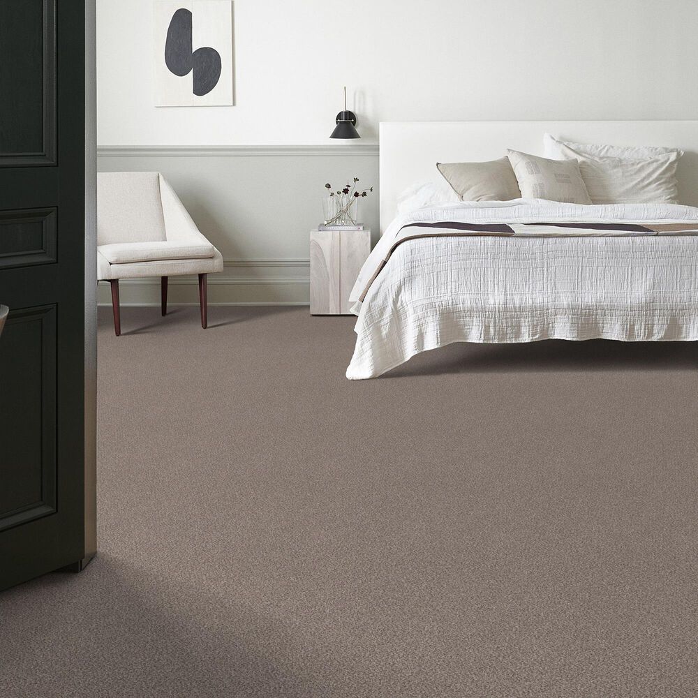 159564-shaw-truspirit-ii-carpet-in-concrete-1.jpg