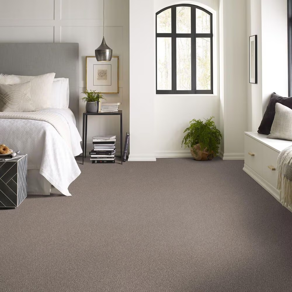 159564-shaw-truspirit-ii-carpet-in-concrete-1.jpg