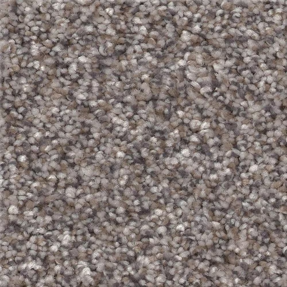 Shaw Truspirit Ii Carpet in Stainless