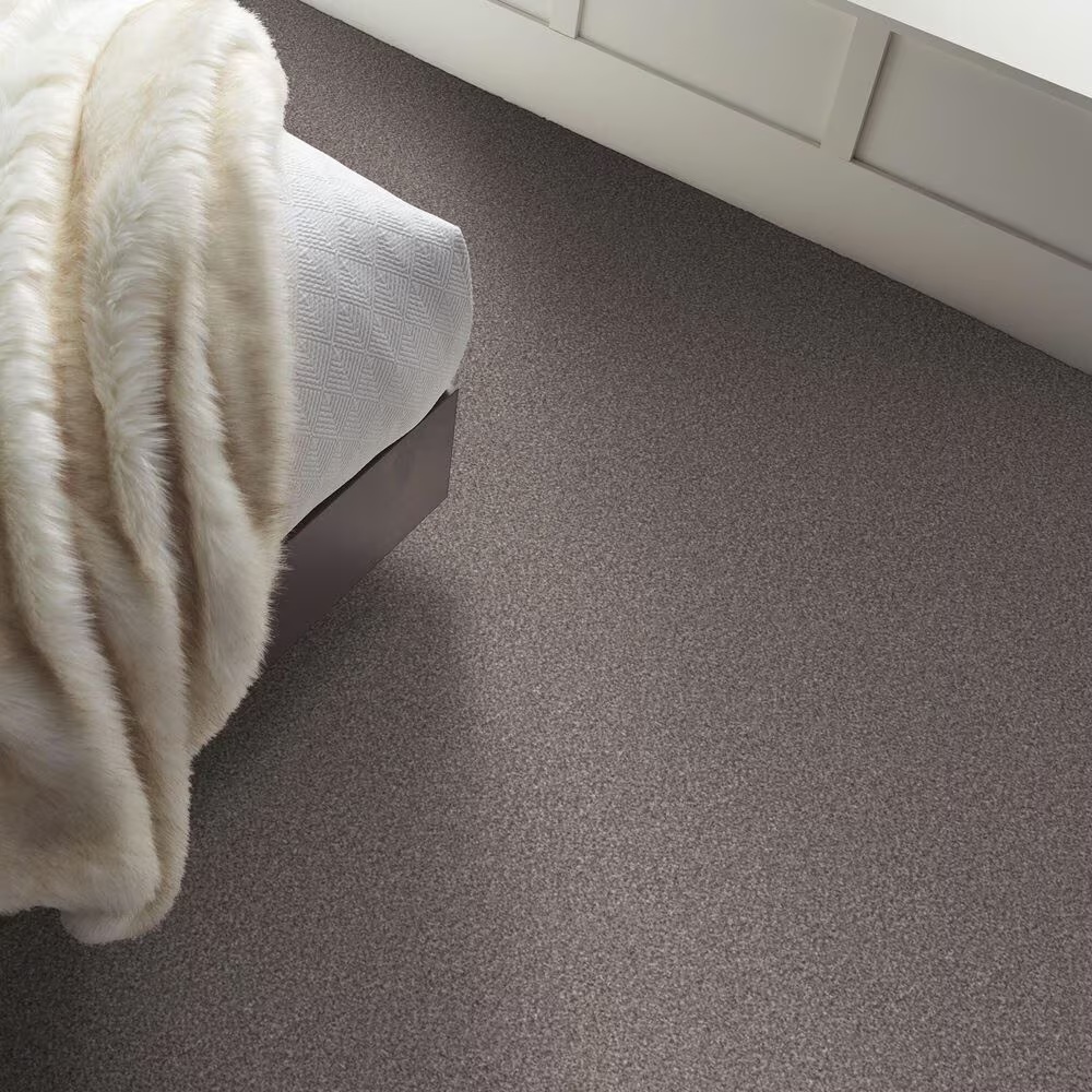 159575-shaw-truspirit-ii-carpet-in-stainless-1.jpg
