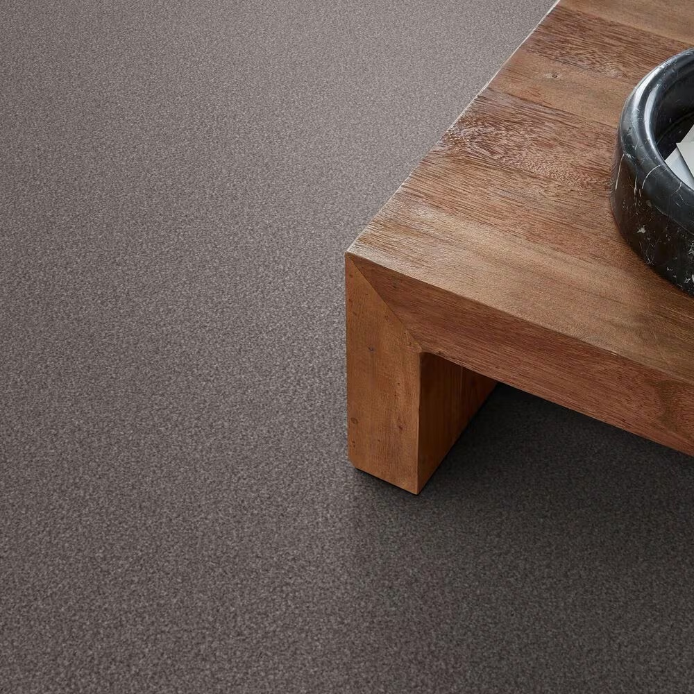 159575-shaw-truspirit-ii-carpet-in-stainless-1.jpg