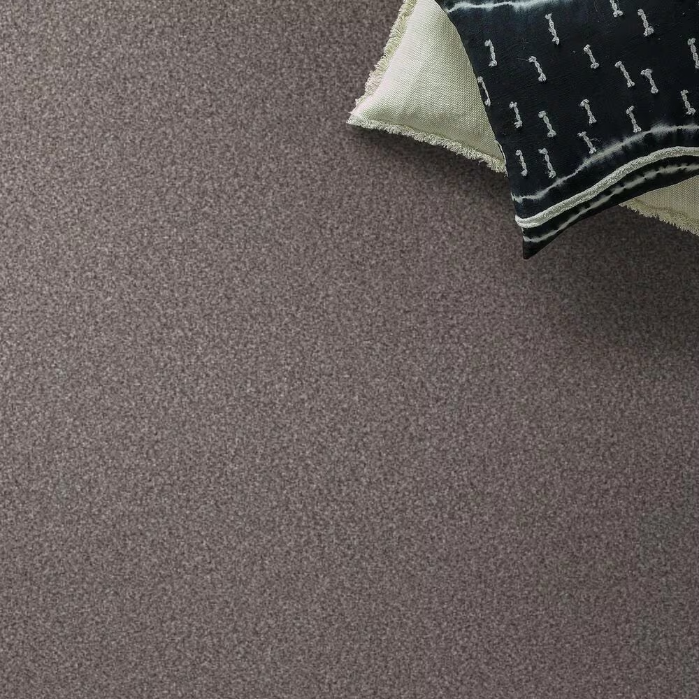 159575-shaw-truspirit-ii-carpet-in-stainless-1.jpg