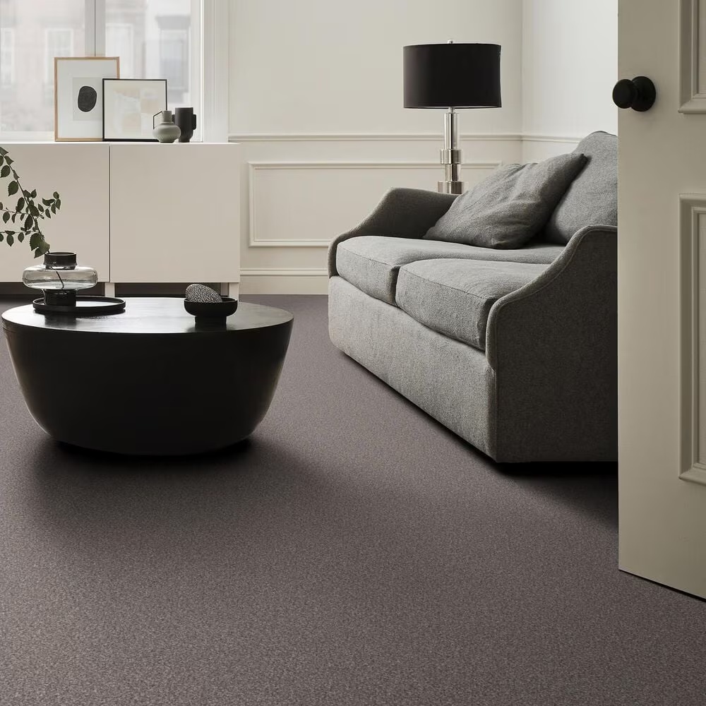 159575-shaw-truspirit-ii-carpet-in-stainless-1.jpg