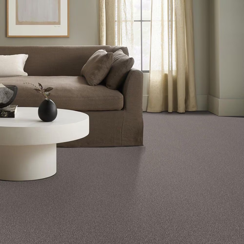 159575-shaw-truspirit-ii-carpet-in-stainless-1.jpg