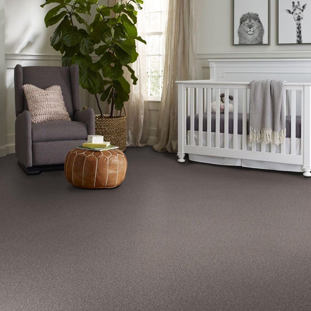 159575-shaw-truspirit-ii-carpet-in-stainless-1.jpg