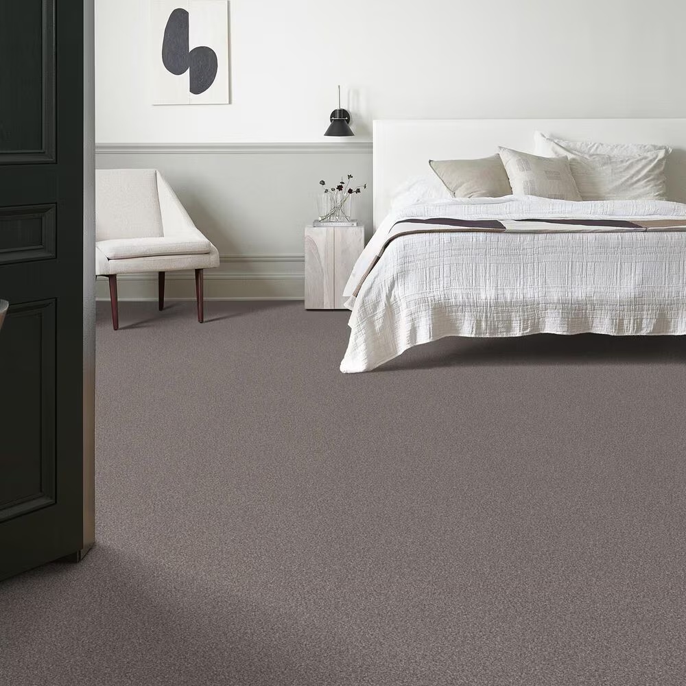 159575-shaw-truspirit-ii-carpet-in-stainless-1.jpg