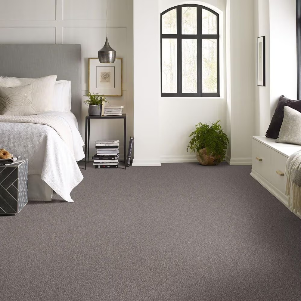 159575-shaw-truspirit-ii-carpet-in-stainless-1.jpg