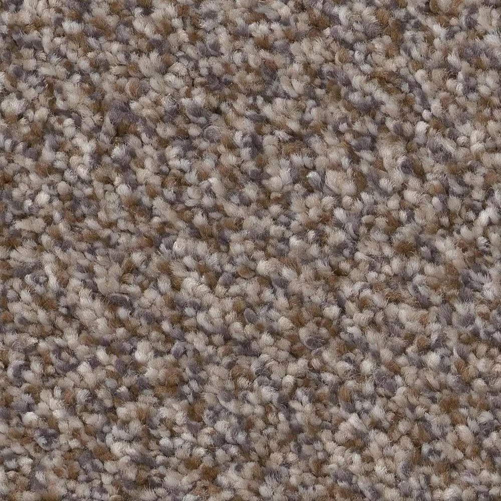 Shaw Truspirit Ii Carpet in Cobble Drive