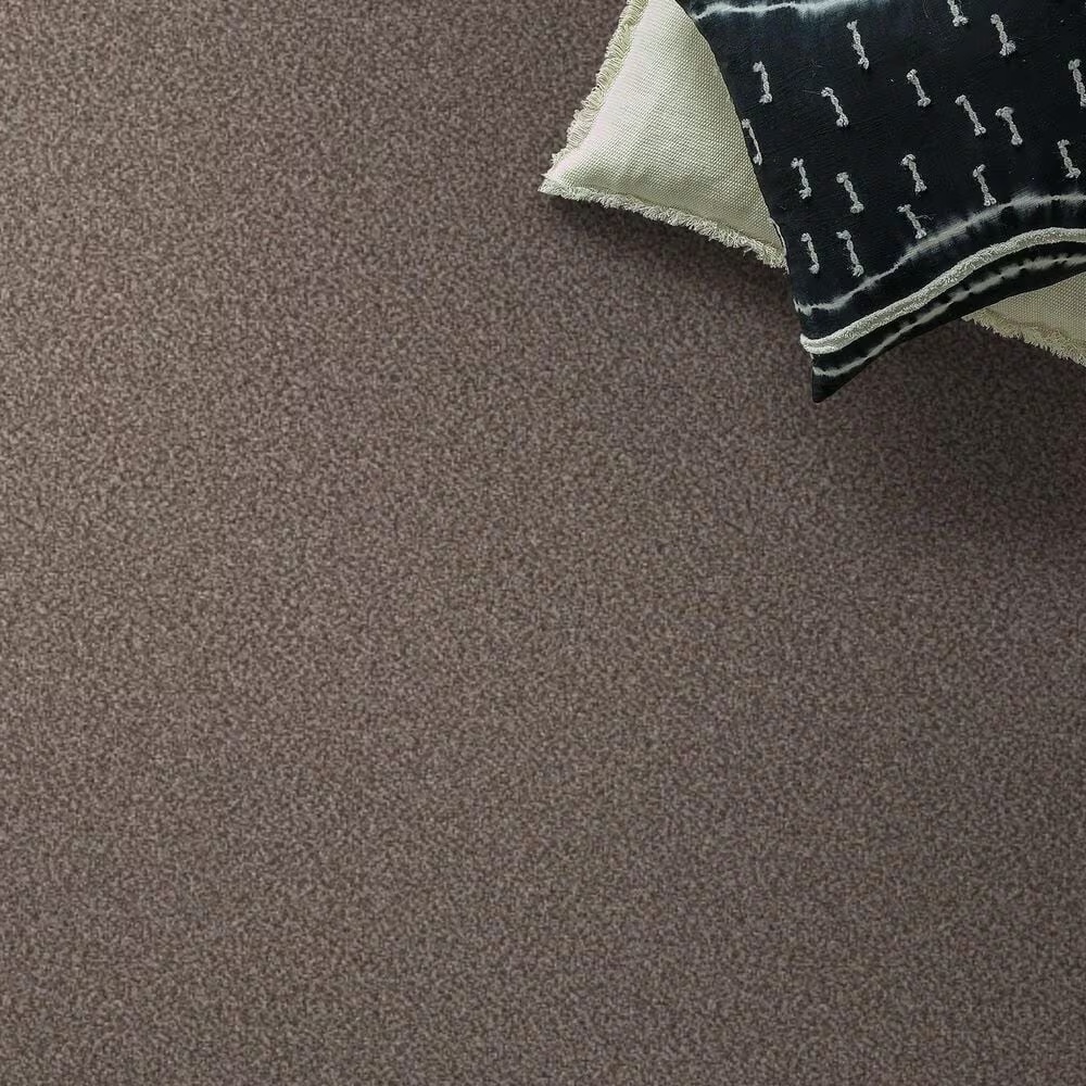 159586-shaw-truspirit-ii-carpet-in-cobble-drive-1.jpg