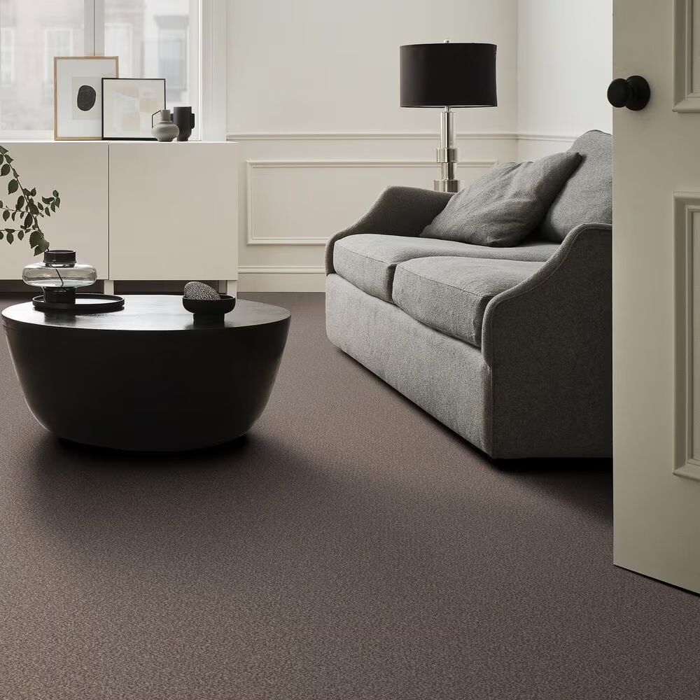 159586-shaw-truspirit-ii-carpet-in-cobble-drive-1.jpg