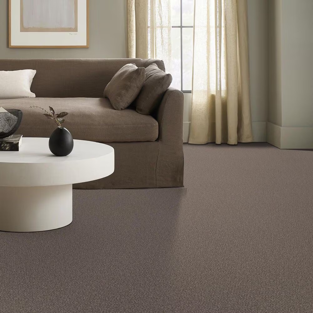 159586-shaw-truspirit-ii-carpet-in-cobble-drive-1.jpg