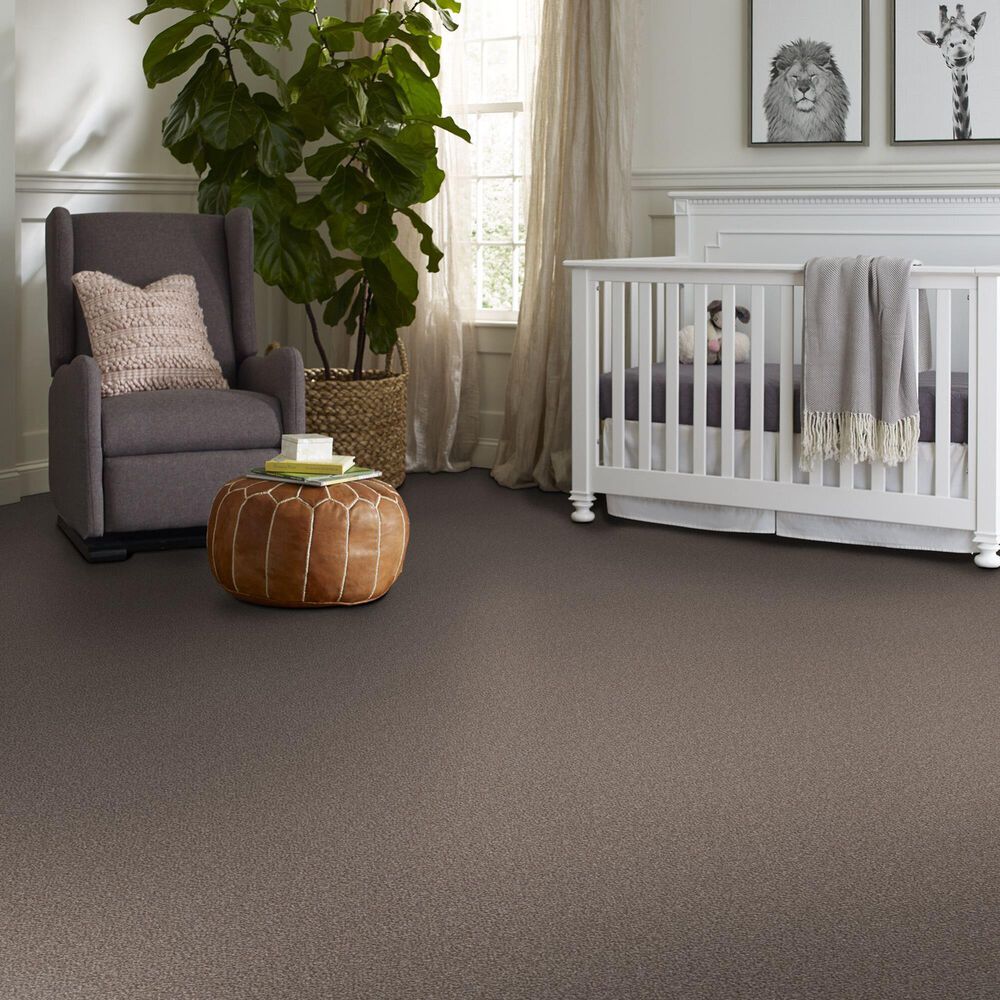 159586-shaw-truspirit-ii-carpet-in-cobble-drive-1.jpg