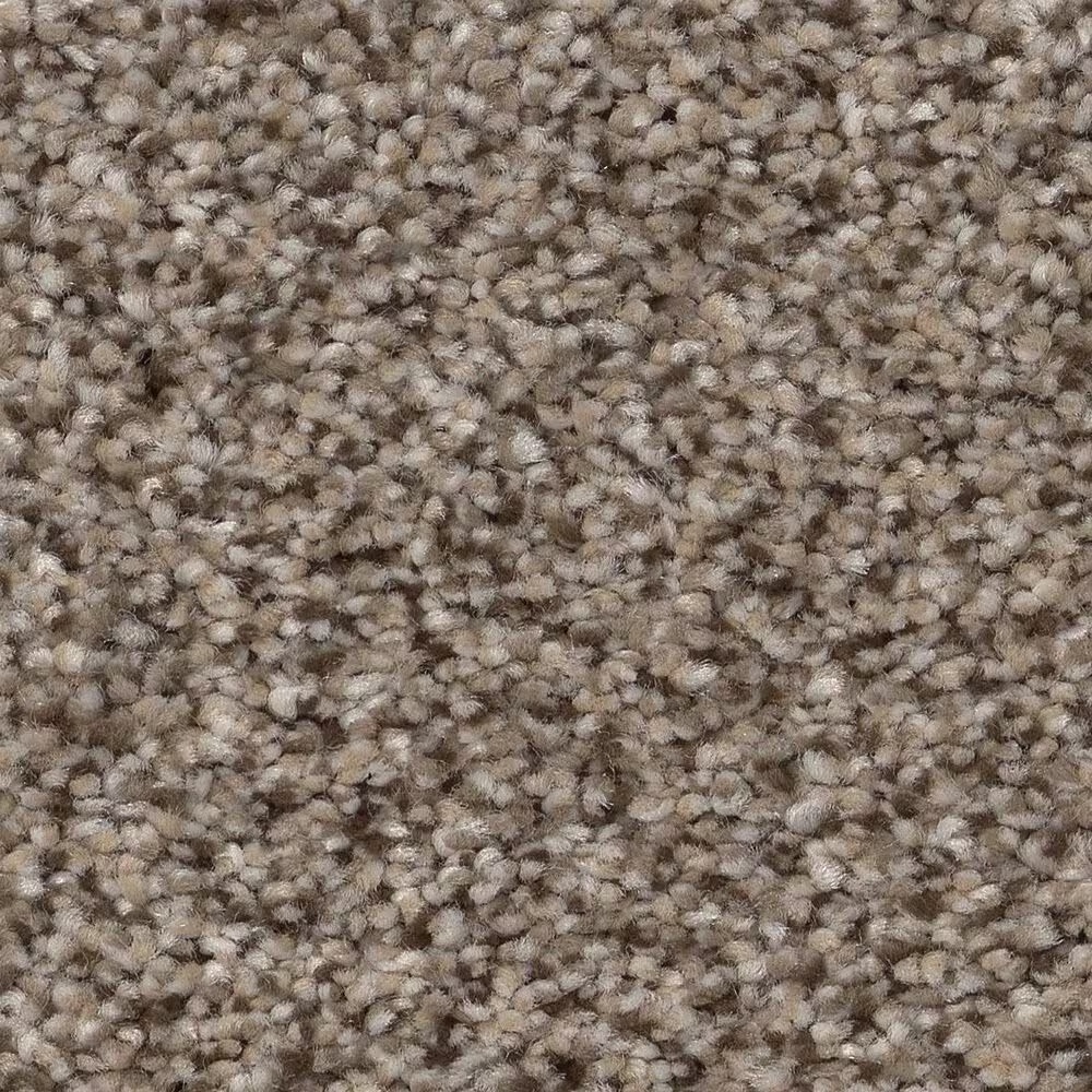 Shaw Truspirit Ii Carpet in Truffle