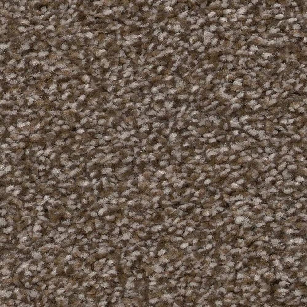 Shaw Truspirit Ii Carpet in Chestnut