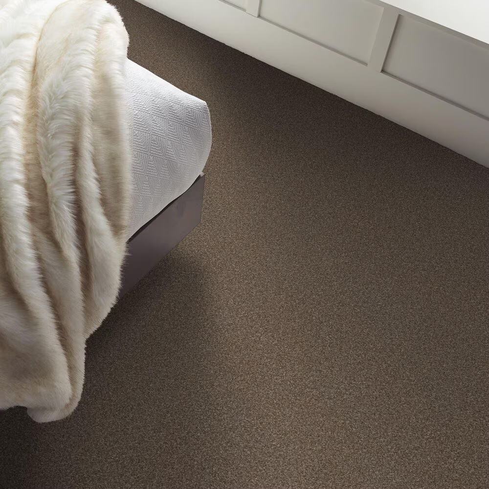 159630-shaw-truspirit-ii-carpet-in-chestnut-1.jpg
