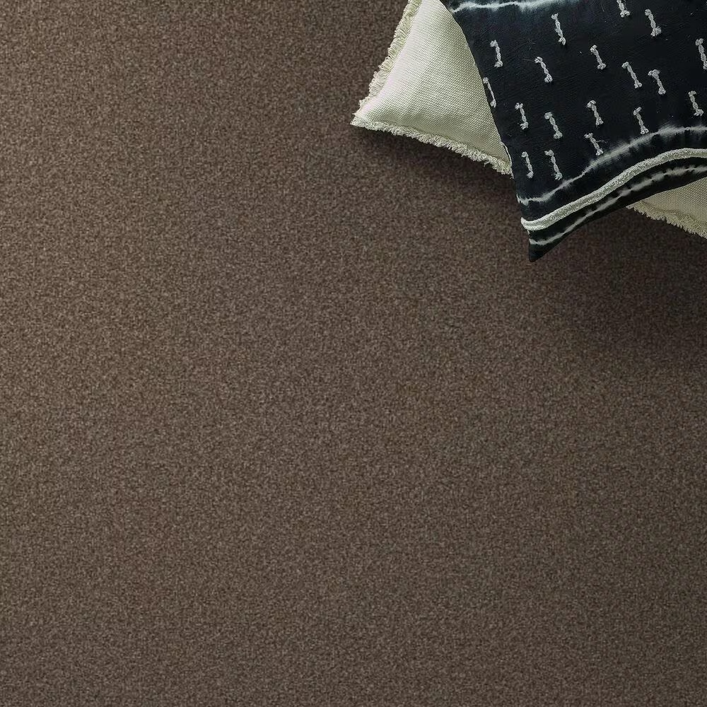 159630-shaw-truspirit-ii-carpet-in-chestnut-1.jpg