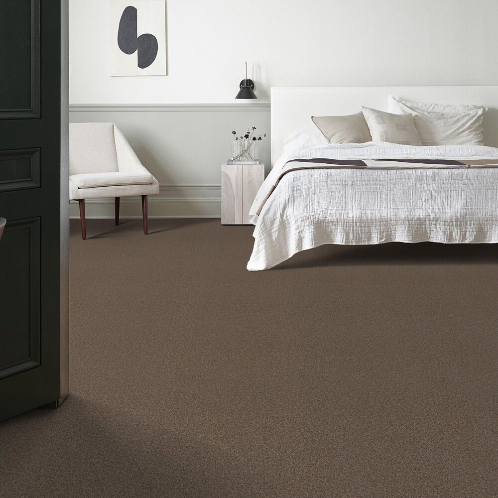 159630-shaw-truspirit-ii-carpet-in-chestnut-1.jpg