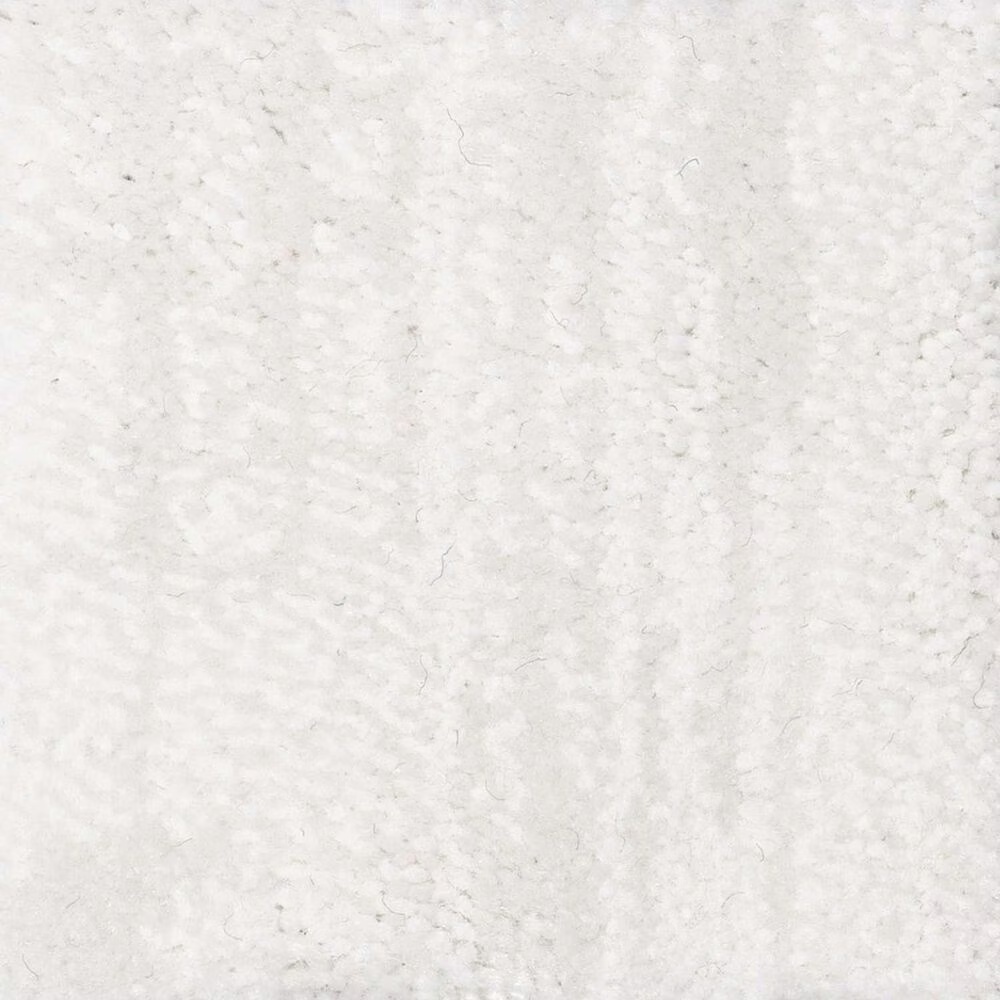 Anderson Tuftex Insightful Journey Carpet in Snowfall