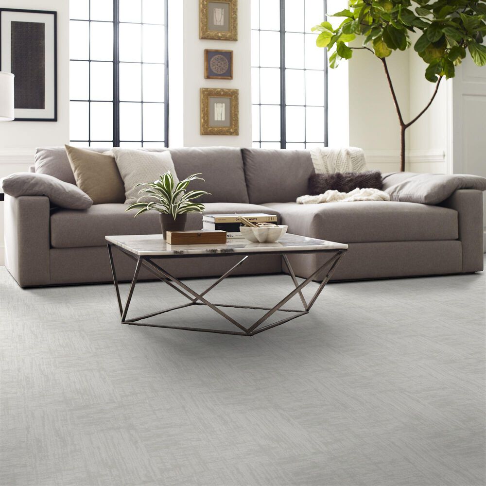 160388-anderson-tuftex-insightful-journey-carpet-in-snowfall-1.jpg