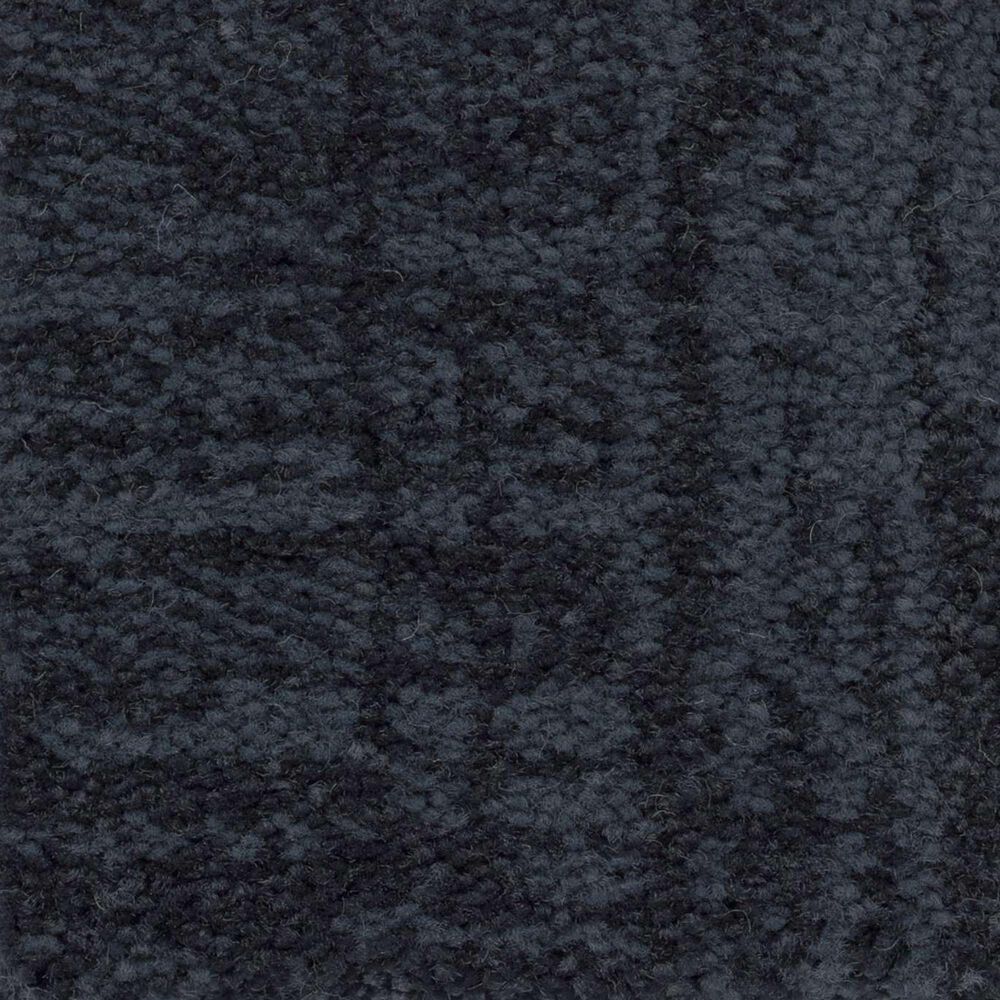 Anderson Tuftex Insightful Journey Carpet in Deep Sea