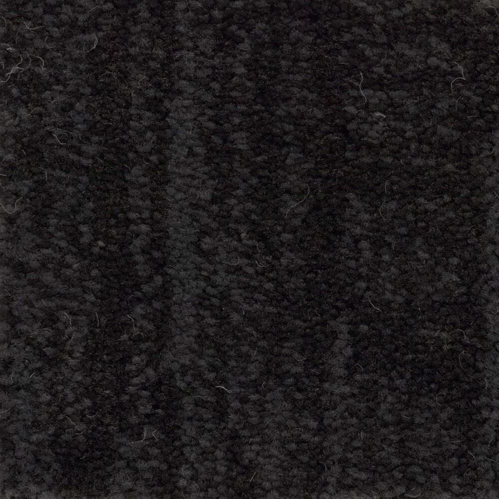 Anderson Tuftex Insightful Journey Carpet in Wrought Iron