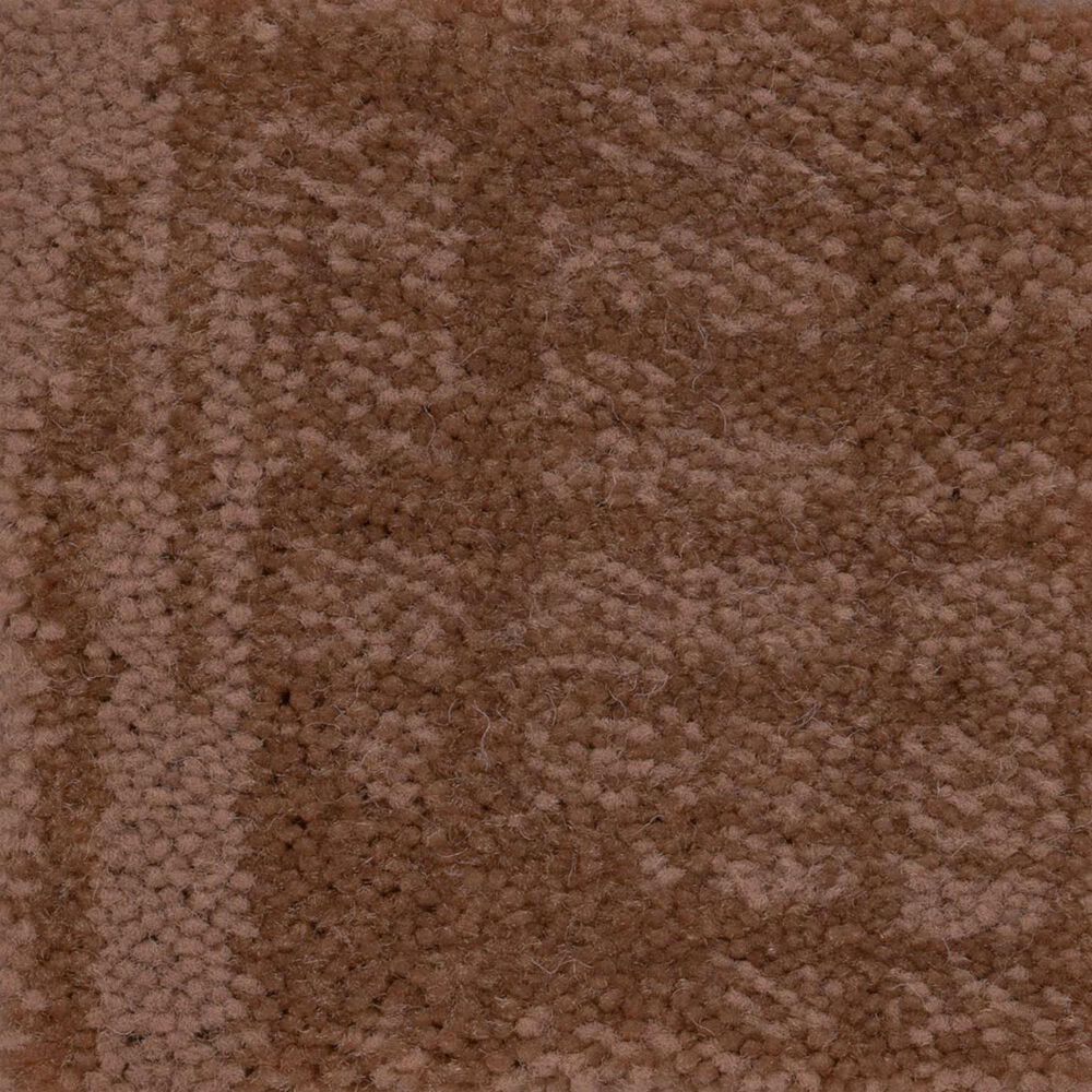 Anderson Tuftex Insightful Journey Carpet in Sunbaked