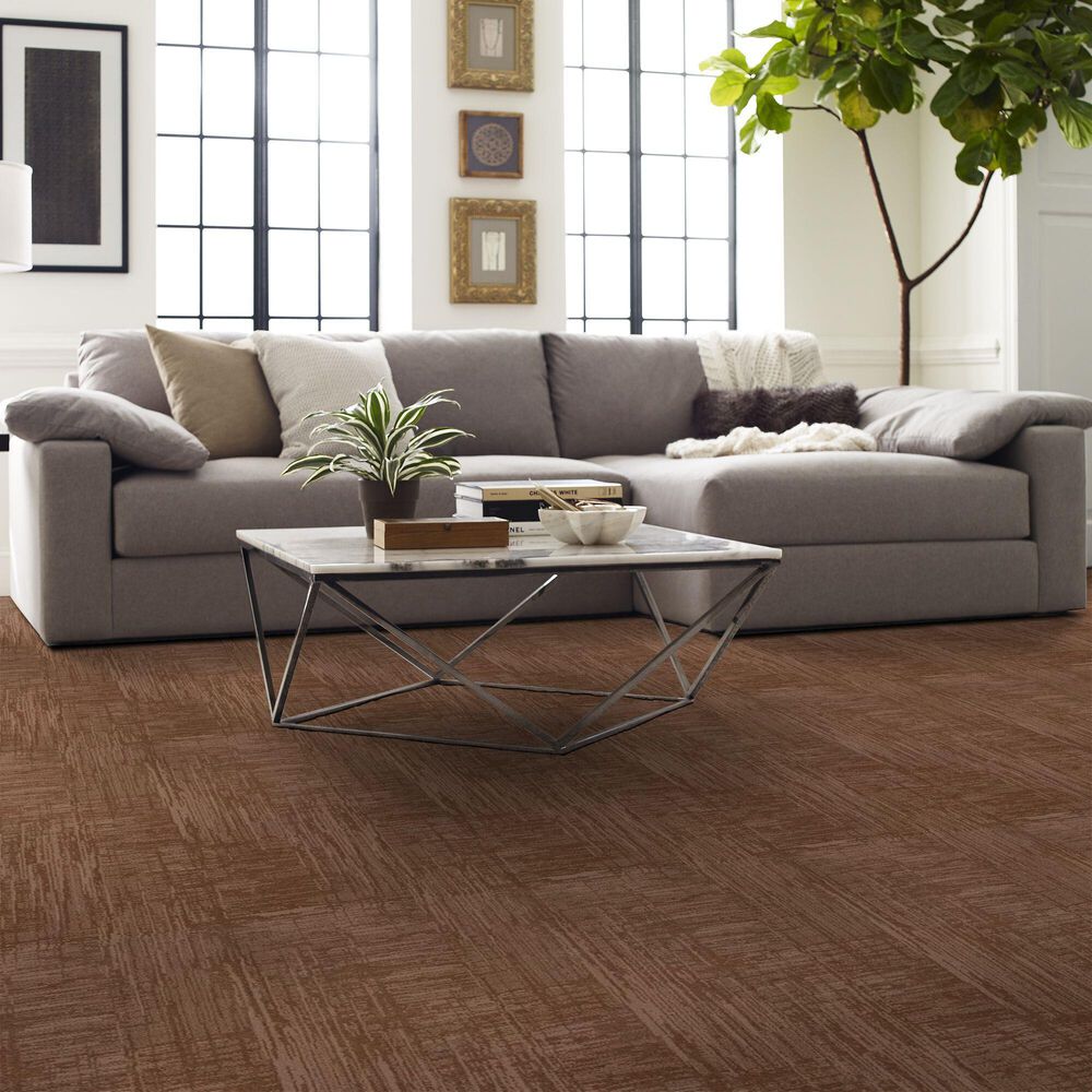 160396-anderson-tuftex-insightful-journey-carpet-in-sunbaked-1.jpg