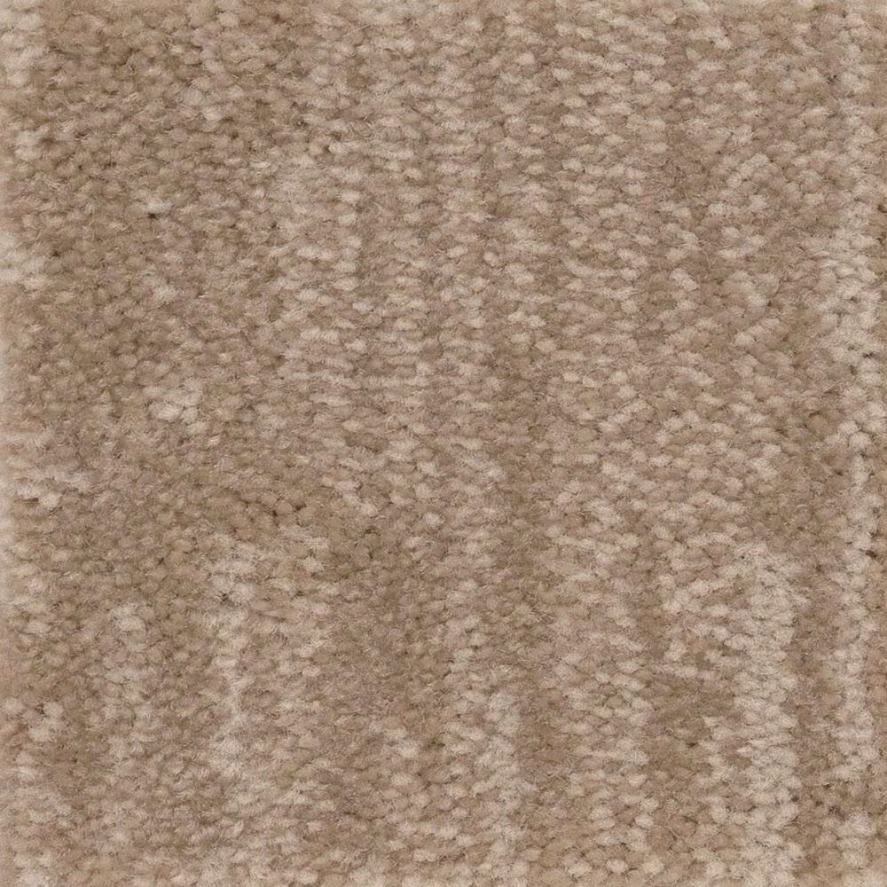 Anderson Tuftex Insightful Journey Carpet in Natural Beauty
