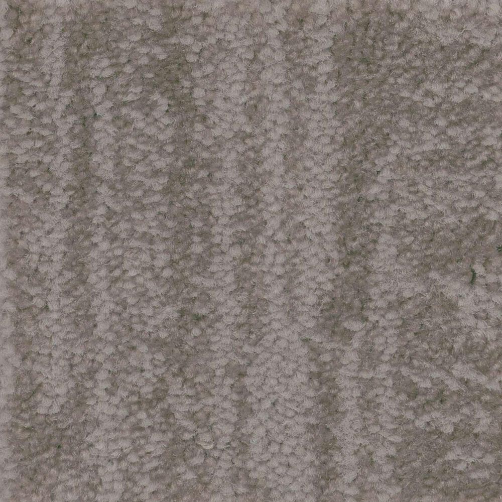 Anderson Tuftex Insightful Journey Carpet in Stucco