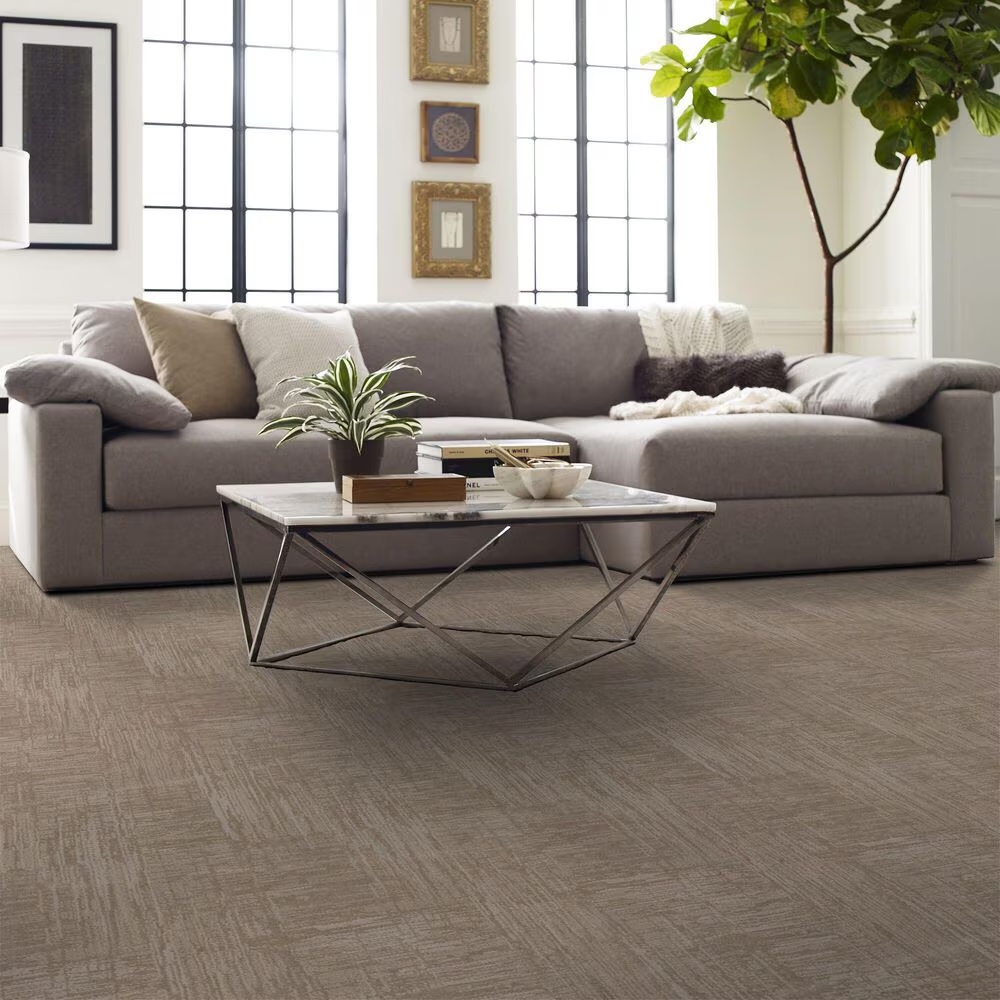 160399-anderson-tuftex-insightful-journey-carpet-in-sandstone-1.jpg