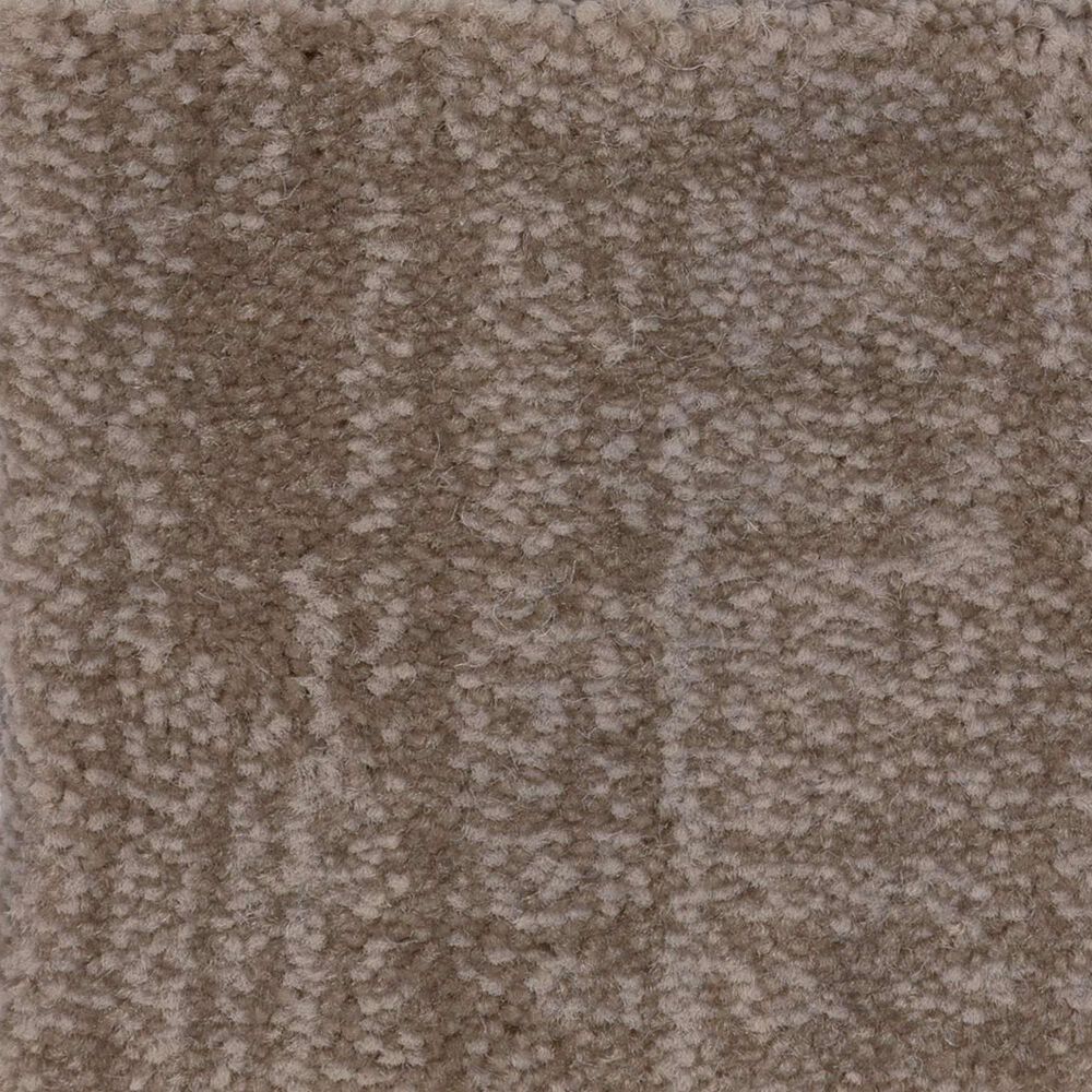 Anderson Tuftex Insightful Journey Carpet in Tumbleweed