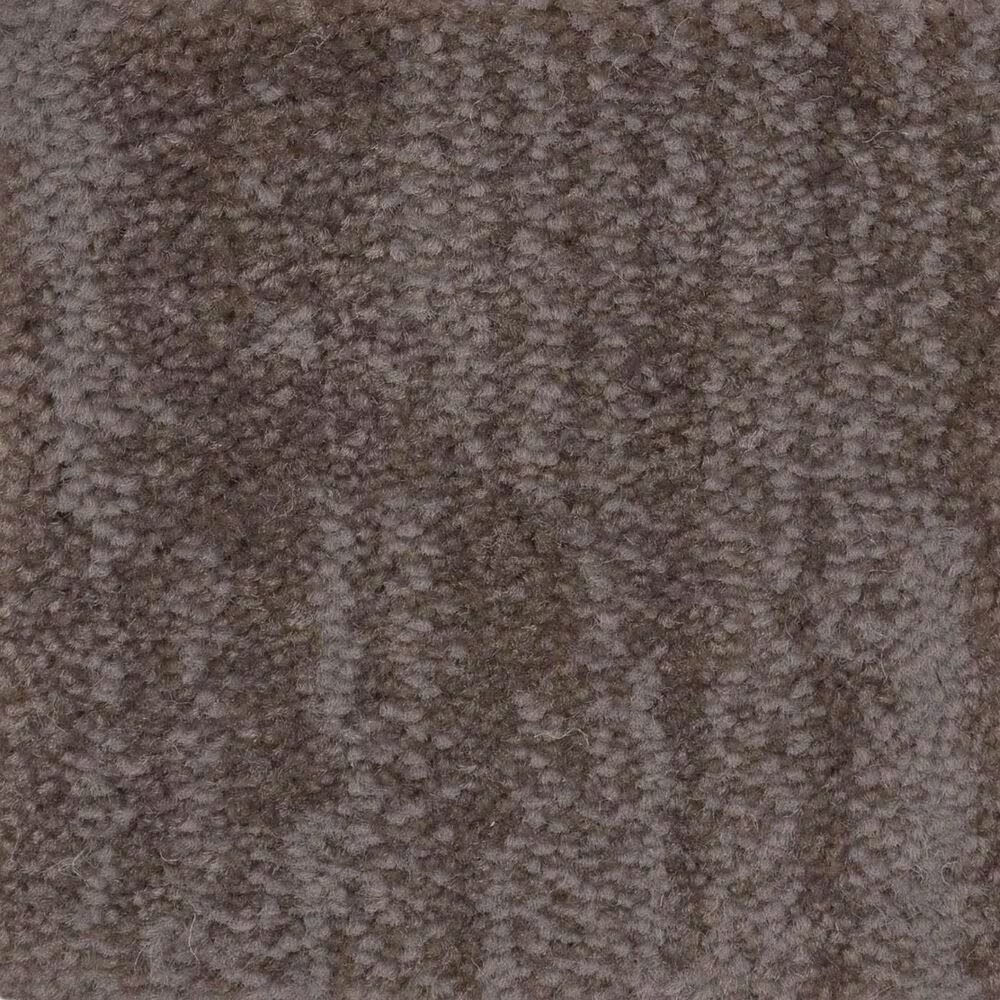 Anderson Tuftex Insightful Journey Carpet in Ridgeview