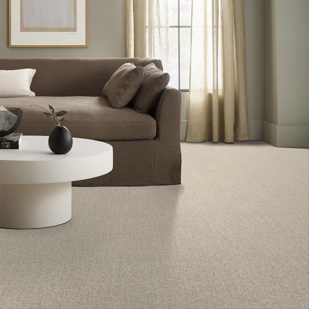 160432-shaw-home-within-carpet-in-natural-1.jpg