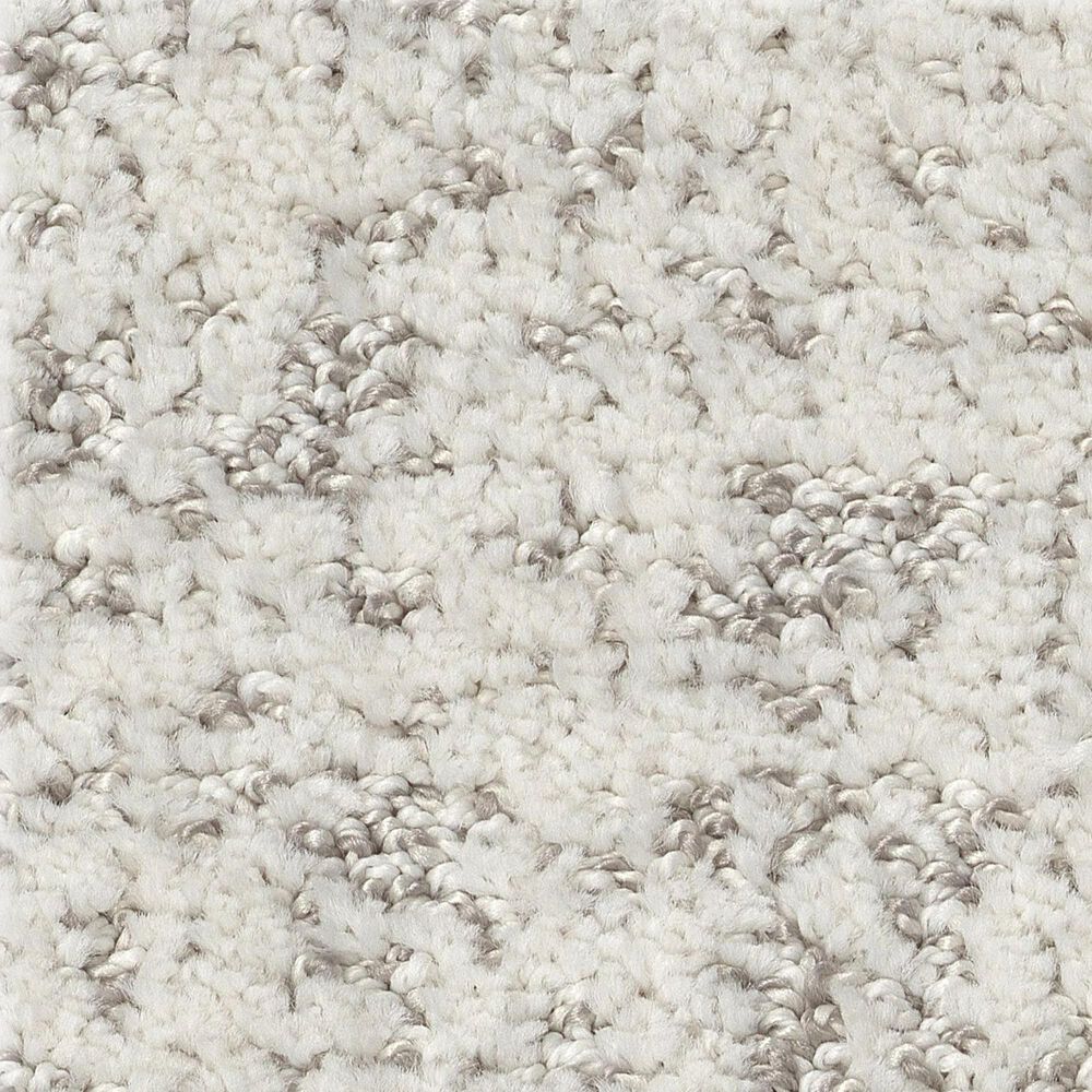 Shaw Home Within Carpet in Snowfall