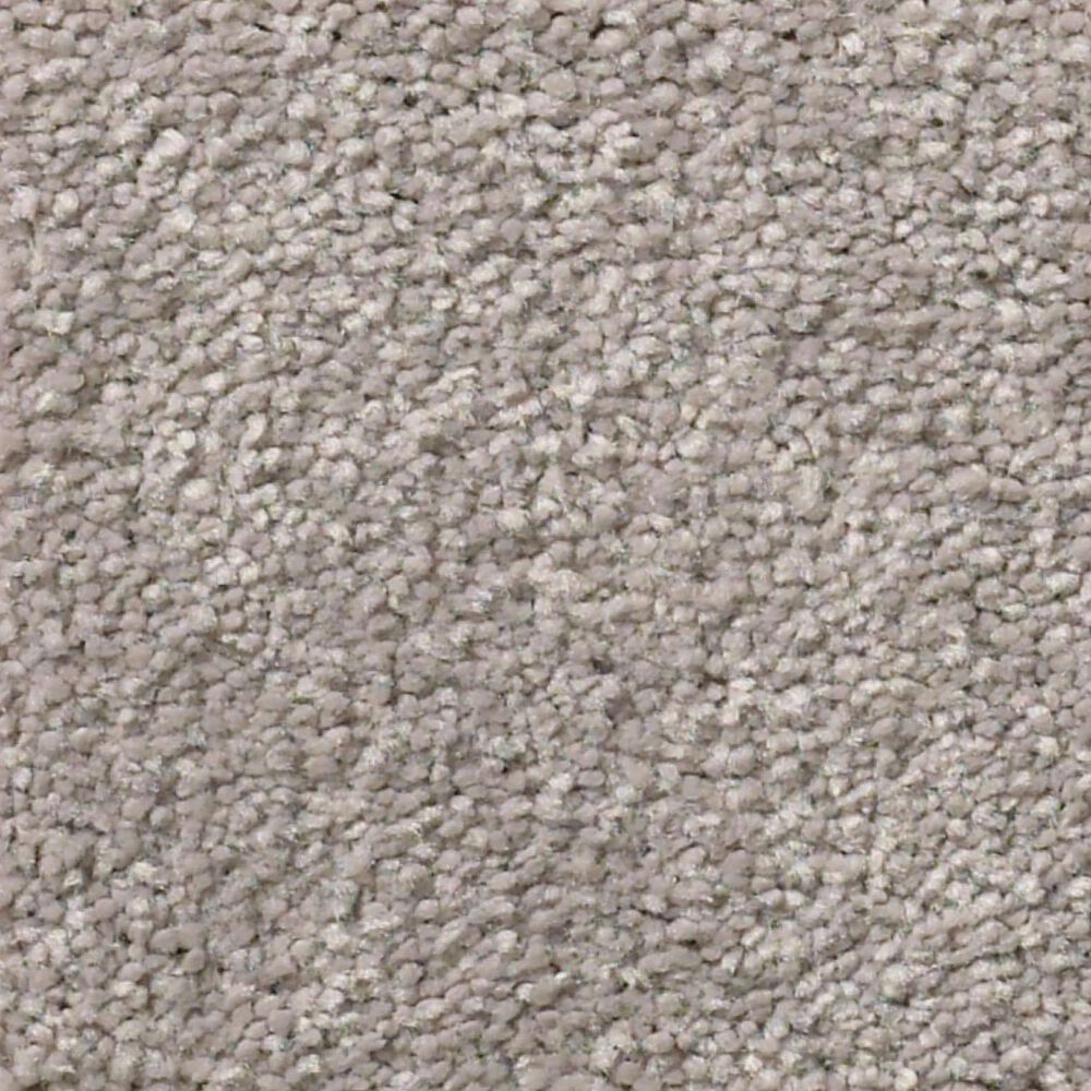 Shaw Montage I Carpet in Polished Stone