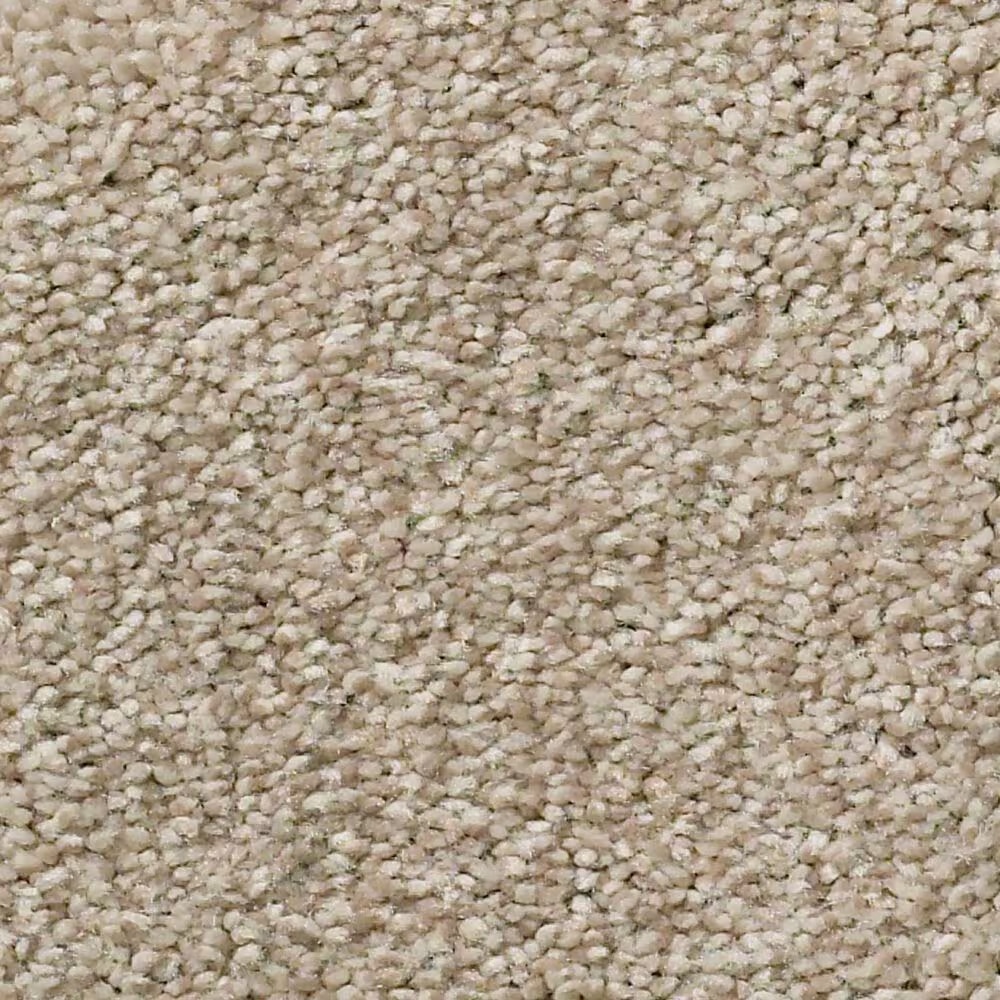 Shaw Montage I Carpet in Chateau