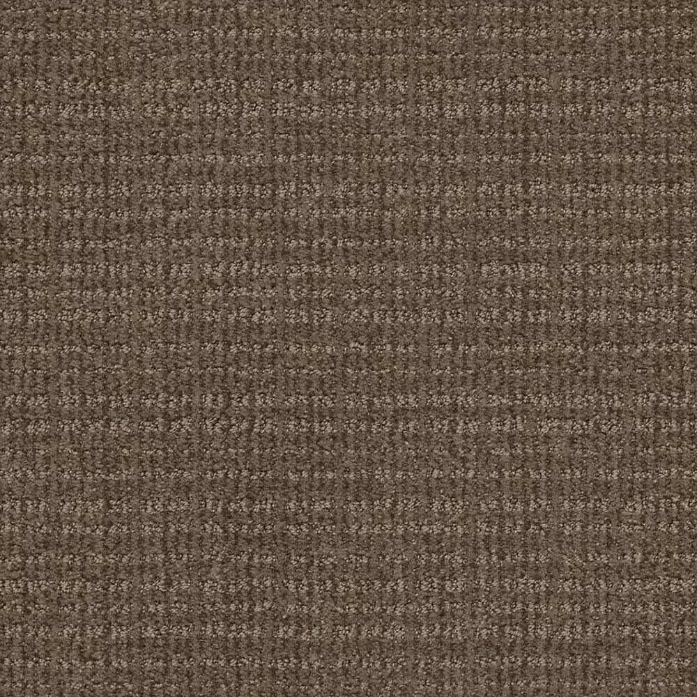 Shaw Sensible Now Carpet in Antique Chest