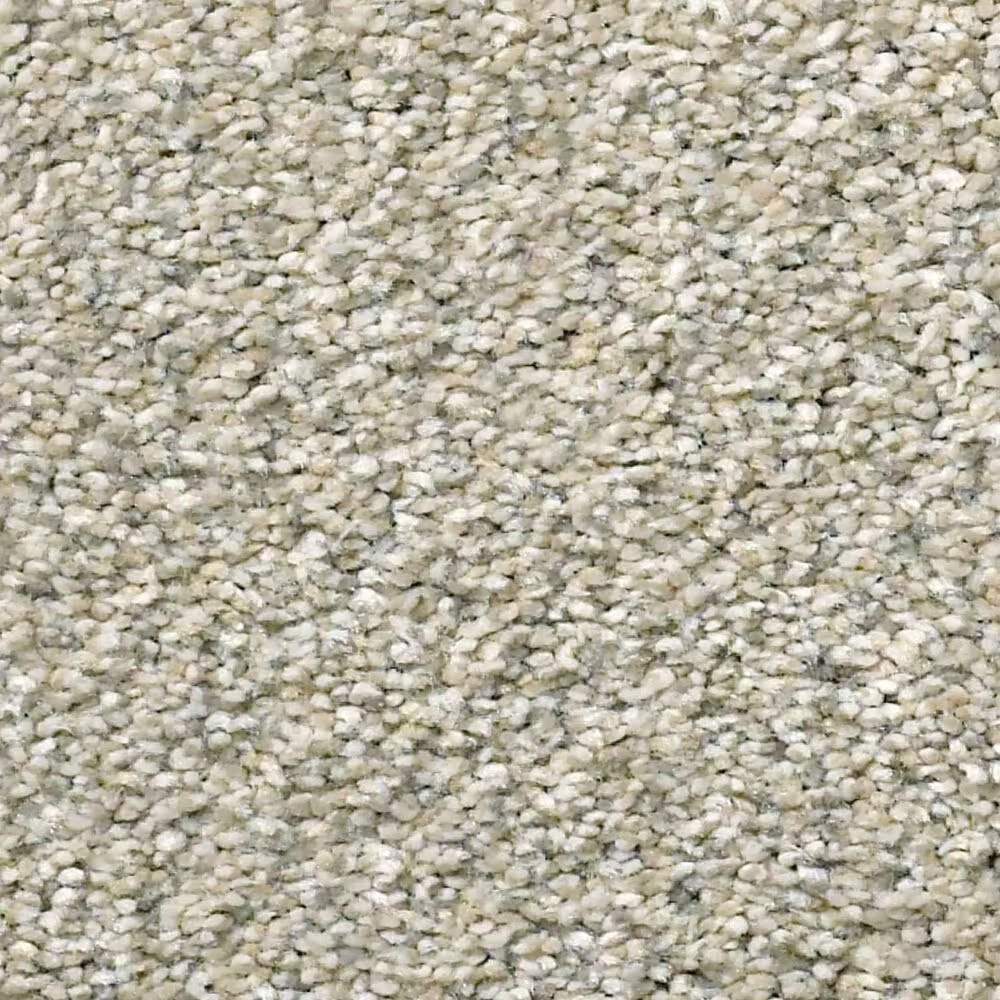 Shaw Montage I Carpet in Spun Wool